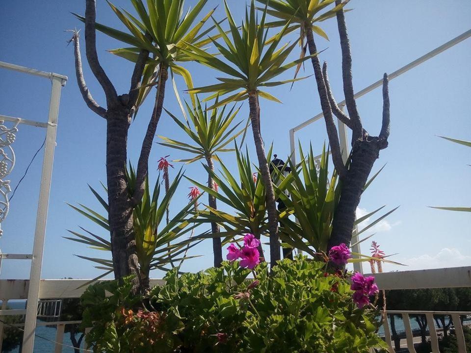 Terrazza Incanto Φόρμια Εξωτερικό φωτογραφία